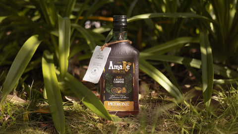Noble Amaro Campano