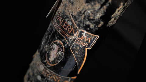 Rocked by the waves for 12 months