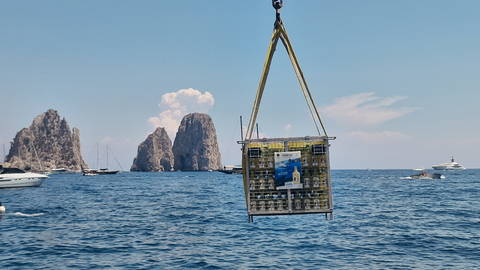 Immersione Limoncello Petrone a Capri
