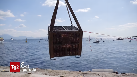 TG  Eat Parade | Emersione Limoncello Petrone I Edizione