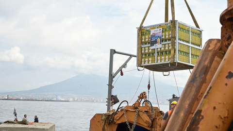 Immersione Limoncello Petrone | 25 settembre 2024