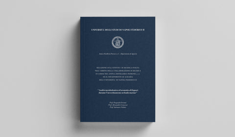 cover relazione Falernum Federico II.jpg__PID:bacdf1ce-efec-4420-87e7-0f93d76d059e