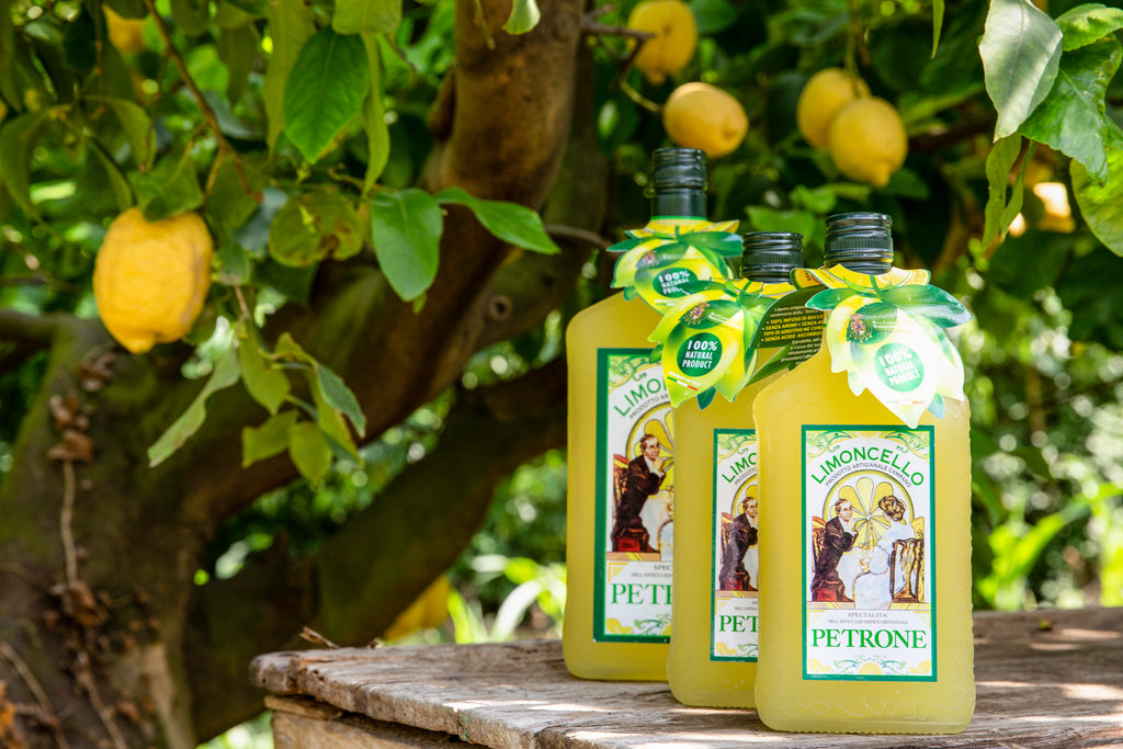 Limoncello 33% Vol.-Liquore-antica-distilleria-petrone.myshopify.com